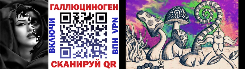 что такое   Чайковский  Галлюциногенные грибы MAGIC MUSHROOMS 