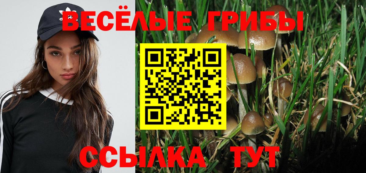 даркнет сайт  Галлюциногенные грибы GOLDEN TEACHER  Вход с VPN  Псилоцибиновые грибы Cubensis  Чайковский 